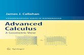 Callaham j. j.   advanced calculus (2010)