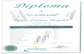 Lynne Certificates