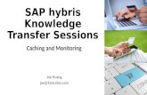 SAP hybris Caching and Monitoring