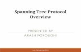 Overview of Spanning Tree Protocol