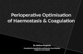 Perioperative Optimisation of Haemostasis and Coagulation