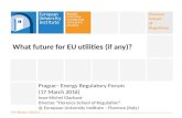 What future for EU utilities (if any)?