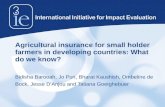 IFPRI-Agricultural Insurance for small holder farmers in developing countries-Bidisha Barooah