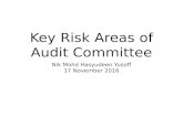 Key risk areas of audit committee ppt