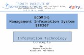 Management Information System-  Information Technology Concepts
