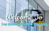 Top quality window cleaning | Pest Control Services in Mississauga & Toronto