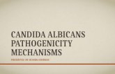 Candida albicans pathogenicity mechanisms.pptx 222222
