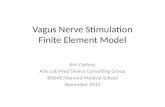 Carlson vagus-nerve-stimulation-finite-element-model