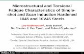 Microstructural and Torsional Fatigue Characteristics of Singleshot and Scan Induction Hardened 1045 and 10V45 Steels