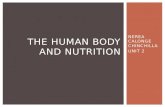 The human body and nutrition