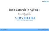 Basic controls in asp