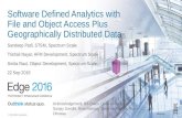Software Defined Analytics with File and Object Access Plus Geographically Distributed Data