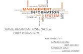 BASIC BUSINESS FUNCTIONS & FIRM HIERARCHY