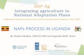 NAP Process in Uganda