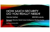 Tactical Edge - How Much Security Do You Really Need?