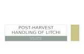 Post Harvest Handling of Litchi