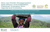 How can Gender-Disaggregated Data Inform Local Adaptation Planning? Examples from Uganda and Colombia