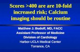 162 calcium imaging