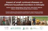 Impact of small ruminant diseases on different household members in Ethiopia