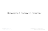 Reinforced column design