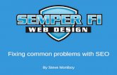 Fixing common problems with SEO by Steve Mortiboy