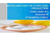 Biotechnology of citric acid production