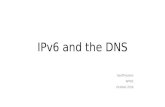 IPv6 and the DNS, RIPE 73
