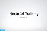 Necto 16 training 3   ribbon