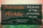 Tony Angiuli Presents: Jurrasic Florida - Wildlife in the Sunshine State