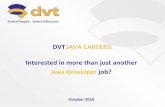 Interested in more than just another Java developer job?