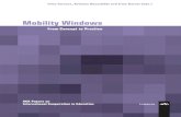 Mobility Windows: From Concept to Practice