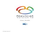 Navicat PDF Manual