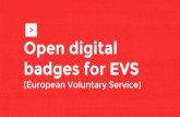 Guidelines for Using Open Badges in European Voluntary Service mobility