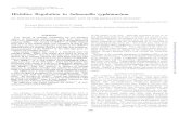 Histidine Regulation in Salmonella typhimurium