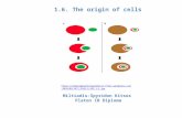 1.5. - The origin of cells