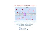 1.4. Membrane transport