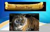 PPT on PROJECT TIGER