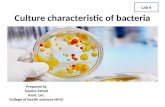 Culture characteristic of bacteria