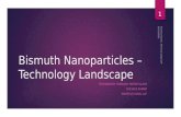 Bismuth Nanoparticles - Technology Overview - Ruchica Kumar