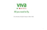 Viva Aerobus Website Analytics Report