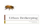 How to be an urban beekeeper