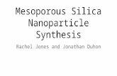 Mesoporous Silica Nanoparticle Synthesis