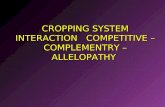 Cropping system interaction