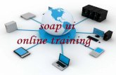 One of the top Soap ui Online Training classes in india,usa,uk