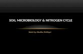 Soil Microbiology & Nitrogen Cycle
