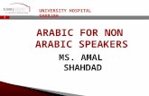 Arabic for non arabic speakers