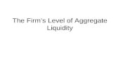 The firm’s level of aggregate liquidity
