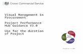 Visual Management in Procurement DRAFT : Project Performance ...
