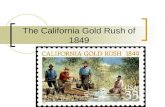 Hw#24 the california gold rush of 1849