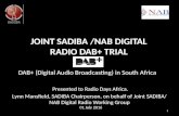 Radio days Africa  2016: DAB update